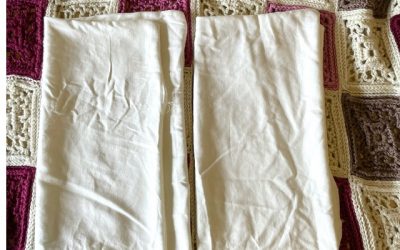 Work in Progress Wednesday